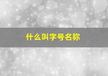 什么叫字号名称