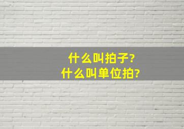 什么叫拍子?什么叫单位拍?