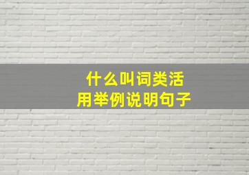 什么叫词类活用举例说明句子