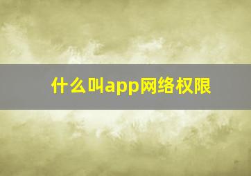 什么叫app网络权限