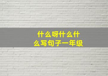 什么呀什么什么写句子一年级