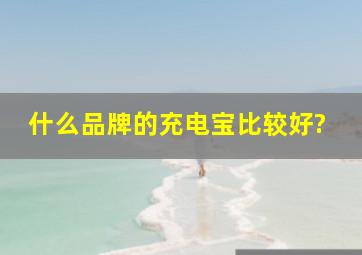 什么品牌的充电宝比较好?