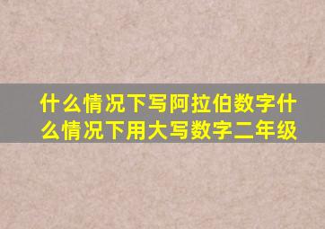 什么情况下写阿拉伯数字什么情况下用大写数字二年级