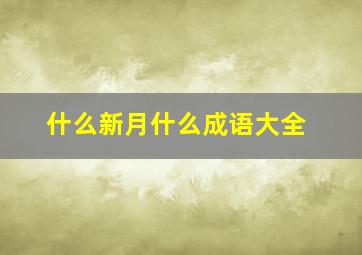 什么新月什么成语大全