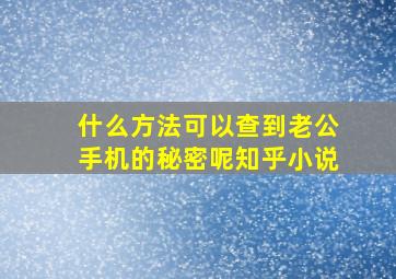 什么方法可以查到老公手机的秘密呢知乎小说