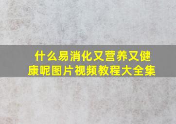 什么易消化又营养又健康呢图片视频教程大全集