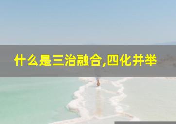 什么是三治融合,四化并举