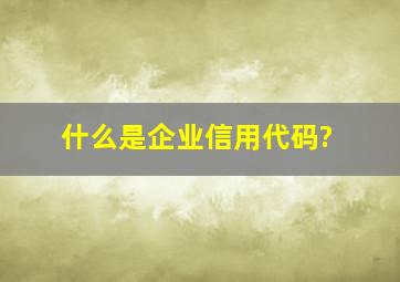 什么是企业信用代码?