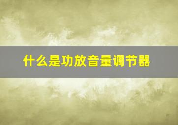 什么是功放音量调节器