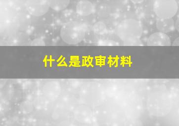 什么是政审材料