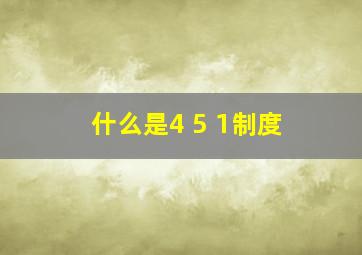 什么是4+5+1制度