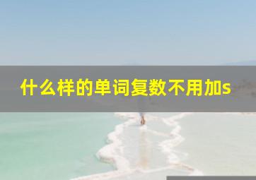 什么样的单词复数不用加s