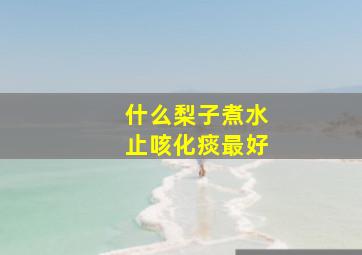 什么梨子煮水止咳化痰最好