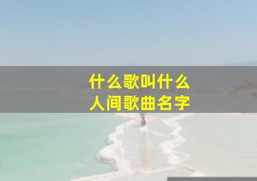 什么歌叫什么人间歌曲名字