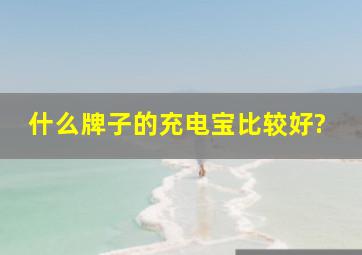 什么牌子的充电宝比较好?