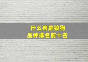 什么狗是狼狗品种排名前十名