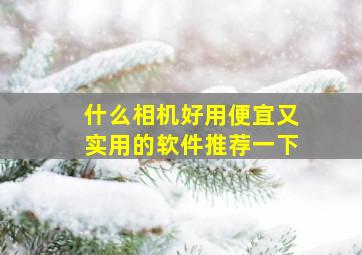 什么相机好用便宜又实用的软件推荐一下