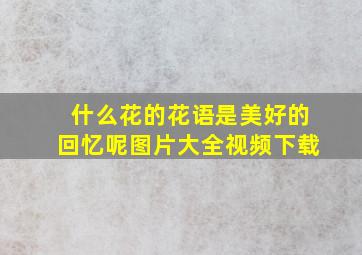 什么花的花语是美好的回忆呢图片大全视频下载