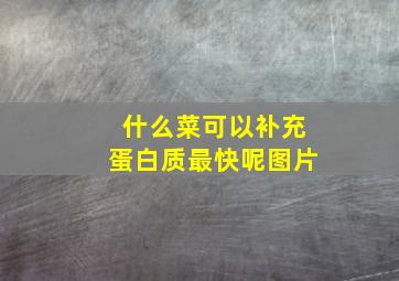 什么菜可以补充蛋白质最快呢图片