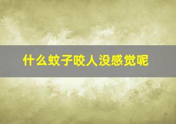 什么蚊子咬人没感觉呢