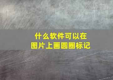 什么软件可以在图片上画圆圈标记