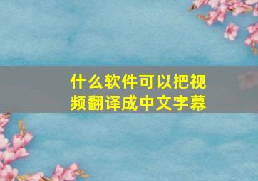 什么软件可以把视频翻译成中文字幕