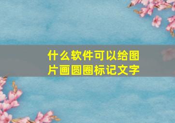 什么软件可以给图片画圆圈标记文字