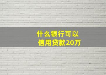 什么银行可以信用贷款20万