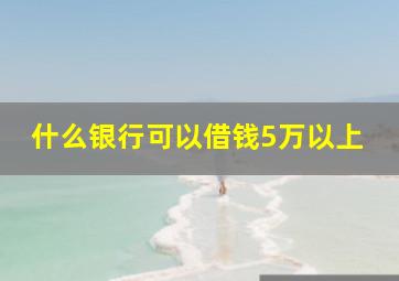 什么银行可以借钱5万以上