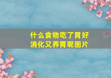 什么食物吃了胃好消化又养胃呢图片