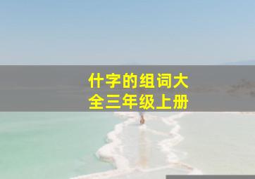 什字的组词大全三年级上册