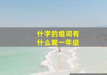 什字的组词有什么呢一年级