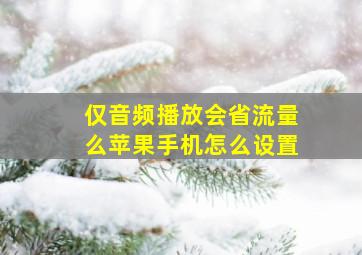 仅音频播放会省流量么苹果手机怎么设置