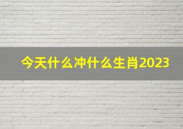 今天什么冲什么生肖2023