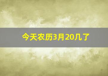 今天农历3月20几了