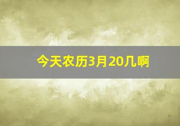 今天农历3月20几啊