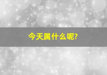 今天属什么呢?