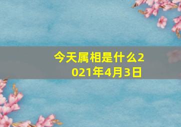 今天属相是什么2021年4月3日