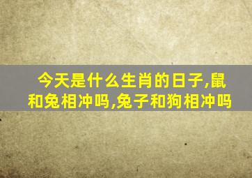 今天是什么生肖的日子,鼠和兔相冲吗,兔子和狗相冲吗