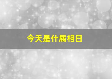 今天是什属相日