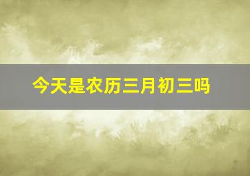 今天是农历三月初三吗