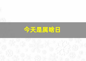 今天是属啥日