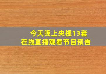 今天晚上央视13套在线直播观看节目预告