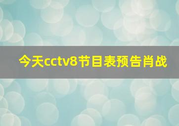 今天cctv8节目表预告肖战