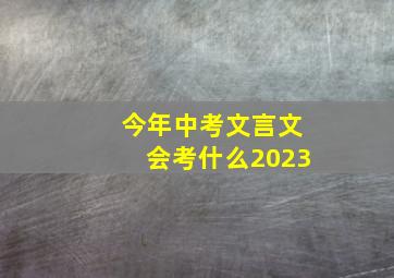 今年中考文言文会考什么2023