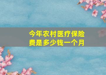 今年农村医疗保险费是多少钱一个月