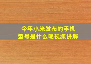 今年小米发布的手机型号是什么呢视频讲解