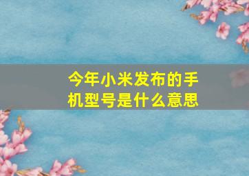 今年小米发布的手机型号是什么意思