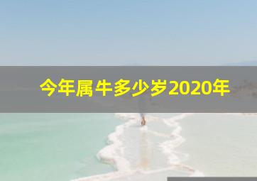 今年属牛多少岁2020年