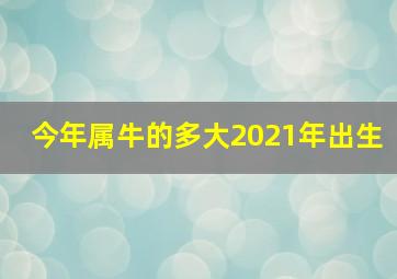 今年属牛的多大2021年出生